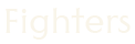 fighters